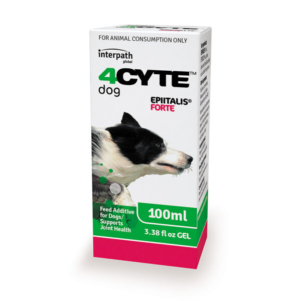 4Cyte Epiitalis Forte Gel for Dogs 100ml 1