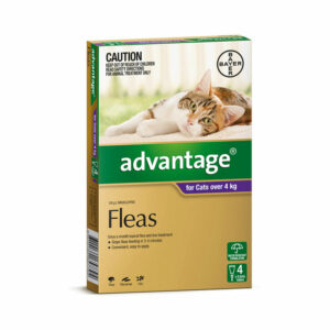 Advantage Purple Spot-On for Medium & Large Cats - 4 Pack