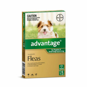 Advantage Green Spot-On for Puppies & Small Dogs - 6 Pack