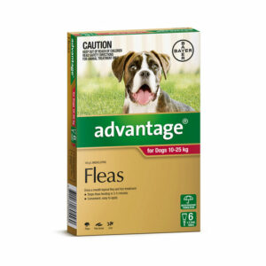 Advantage Red Spot-On for Large Dogs - 6 Pack