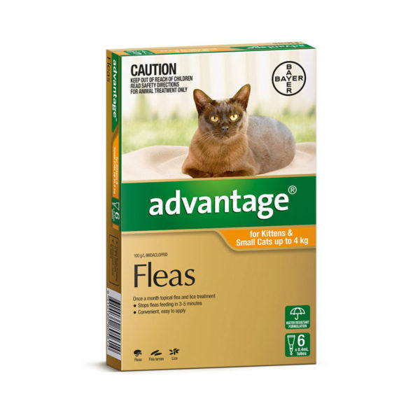 Advantage Orange Spot-On for Kittens & Small Cats - 6 Pack 1