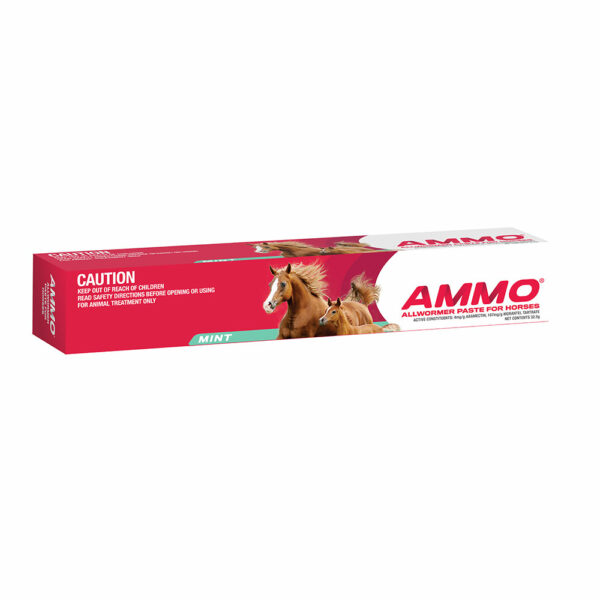 Ammo Allwormer Paste for Horses and Foals 32.5g Syringe 1