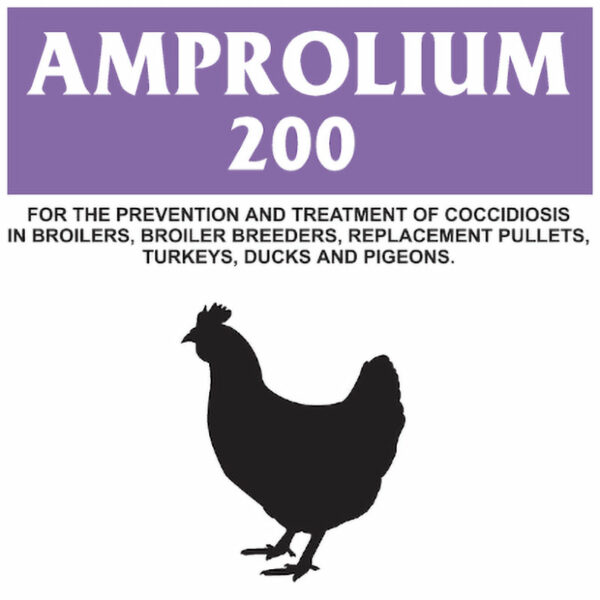 Allfarm Amprolium 200 Powder 100g
