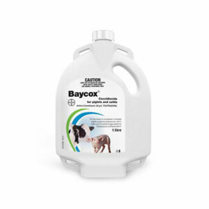 Baycox Coccidiocide for Piglets and Cattle 1L