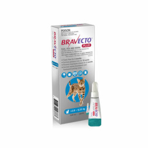 Bravecto Plus Blue Spot-On for Medium Cats