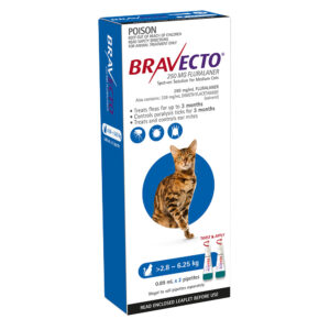 Bravecto Blue Spot-on for Medium Cats - 2 Pack
