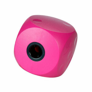 Buster Cherry Food Cube for Dogs
