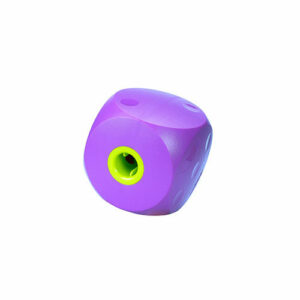 Buster Purple Mini Cube for Dogs