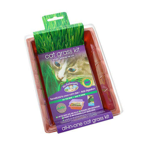 Mr. Fothergill's Cat Grass Seed Raiser Kit 1