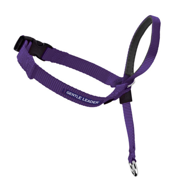 Gentle Leader Purple Headcollar - Medium