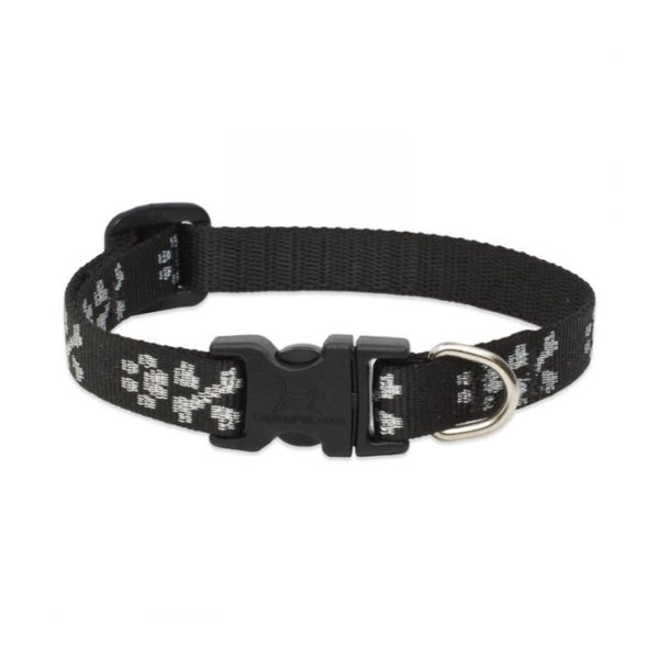 Lupine Bling Bonz Small Dog Collar 10-16"