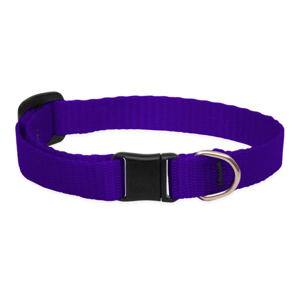 Lupine Purple Safety Cat Collar 1