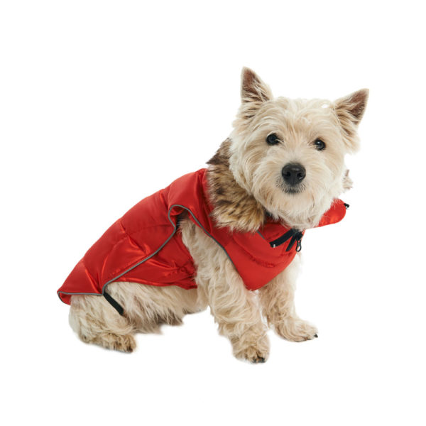 BUSTER Active Winter Dog Coat High Risk Red XX-Small 2