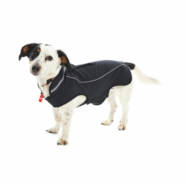 BUSTER Classic Softshell Dog Coat Blackberry Small 2