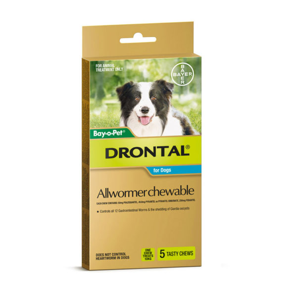 Drontal Allwormer Chews for Dogs (up to 10kg) - 5 Pack 1