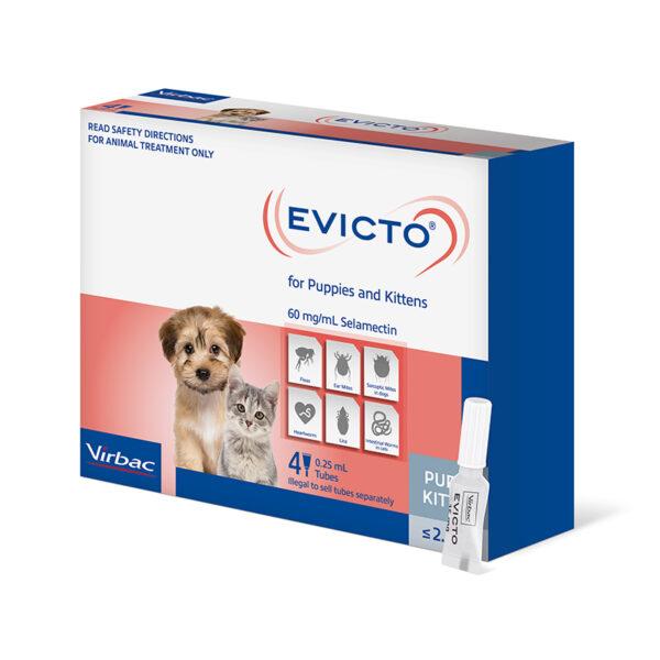 Evicto Spot-On for Puppies and Kittens - 4 Pack 1
