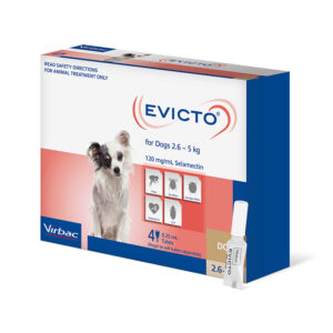 Evicto Spot-On for Very Small Dogs - 4 Pack