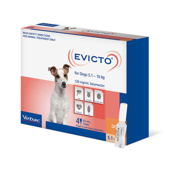 Evicto Spot-On for Small Dogs - 4 Pack 1