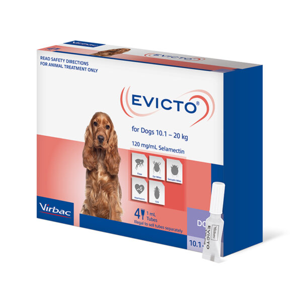 Evicto Spot-On for Medium Dogs - 4 Pack