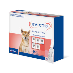 Evicto Spot-On for Large Dogs - 4 Pack
