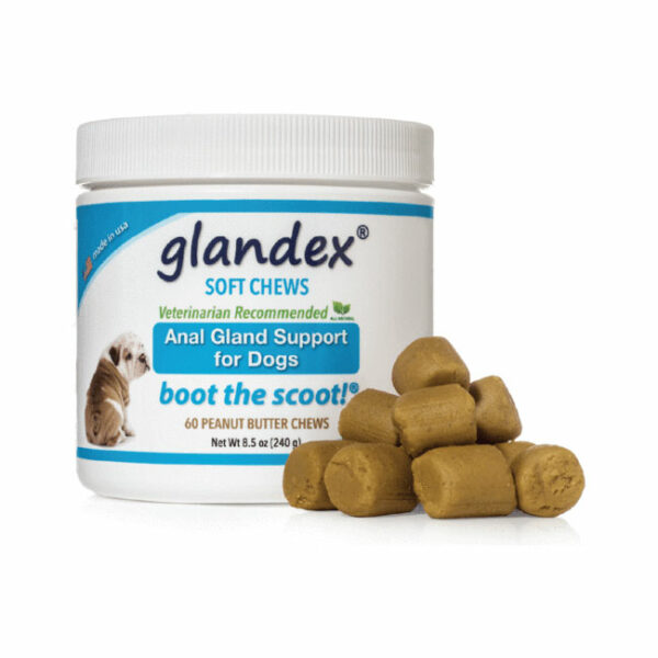 Glandex Anal Gland Support for Dogs 60 Chews