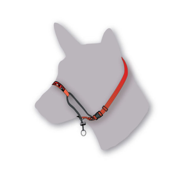 Black Dog Black Classic Training Halter - Small 1