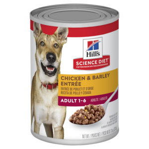 Hills Science Diet Adult Dog Chicken & Barley Entree 370g x 12 Cans