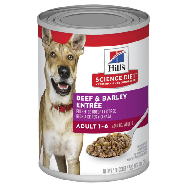 Hills Science Diet Adult Dog Beef & Barley Entree 370g x 12 Cans 1