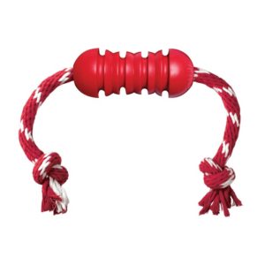 Kong Rubber Dental Dog Toy with Rope Medium