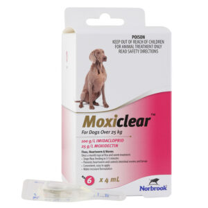 Moxiclear Pink for Large Dogs - 6 Pack