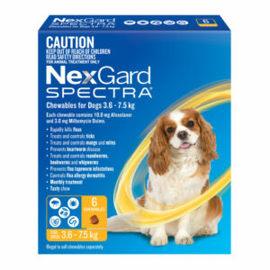 NexGard Spectra Yellow for Small Dogs (3.6-7.5kg) - 6 Pack