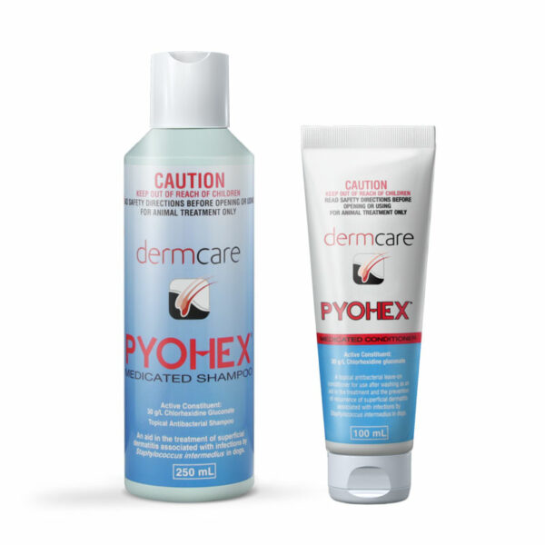 Pyohex Medicated Shampoo & Conditioner Starter Pack 1
