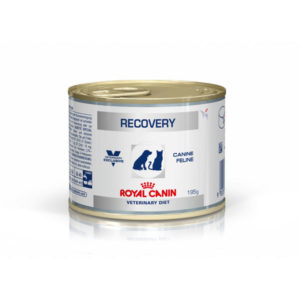 Royal Canin Vet Diet Canine/Feline Recovery 195g x 12 Cans