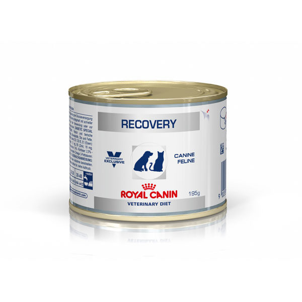 Royal Canin Vet Diet Canine/Feline Recovery 195g x 12 Cans 1