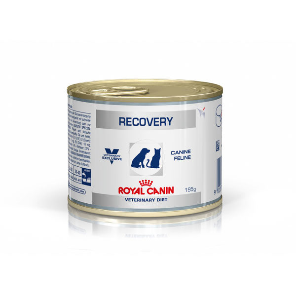 Royal Canin Vet Diet Canine/Feline Recovery 195g x 12 Cans