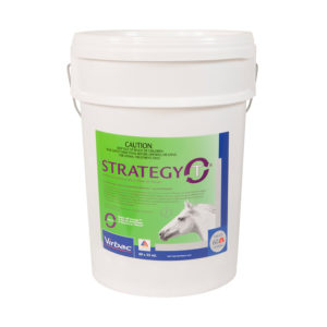 Strategy-T Stable Pail 35ml x 60 Syringes