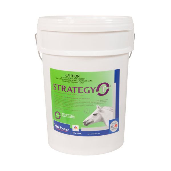 Strategy-T Stable Pail 35ml x 60 Syringes